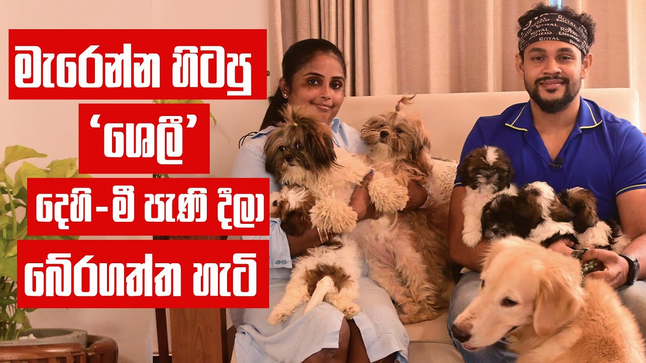 මැරෙන්න හිටපු ශෙලීව බේරගත්තේ කොහොමද ? | Pet Talk