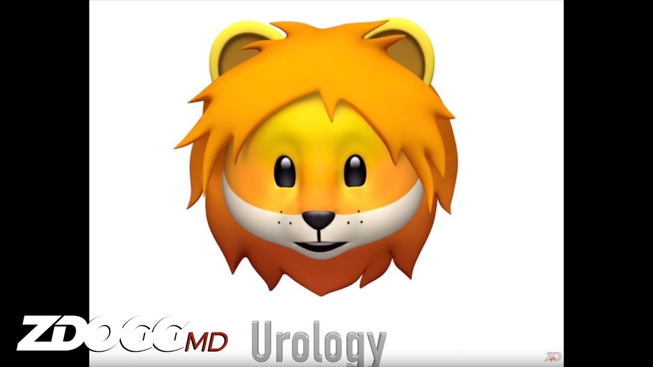Medimoji Men's Health | ZDoggMD.com