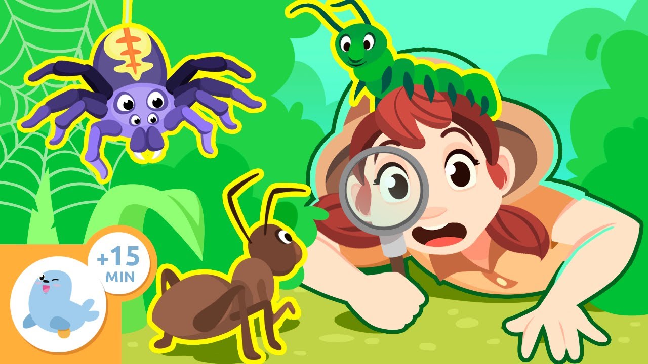 ARTRÓPODES para crianças 🐝🕷🦋 Características e curiosidades