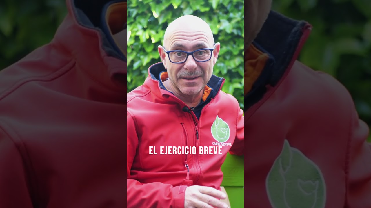 ￼ 🧘&zwj;♀️C&oacute;mo EJERCITAR a tu PERRO para que se PORTE BIEN