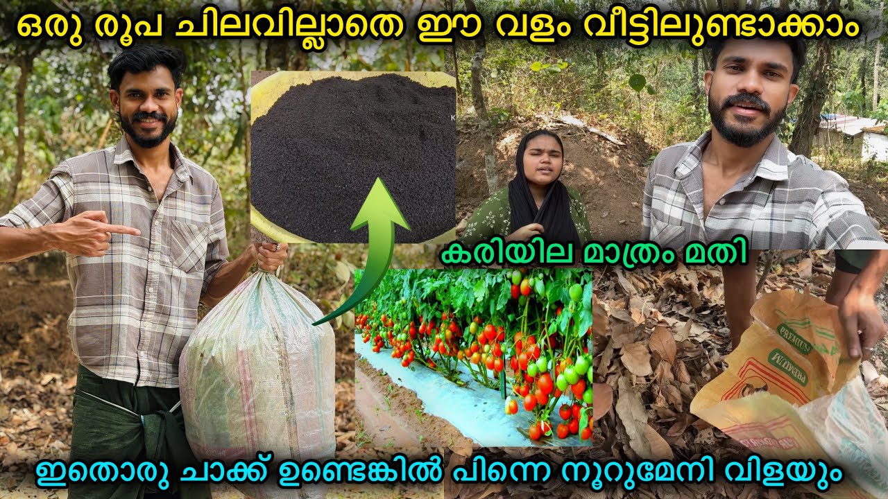 ഇനി അങ്ങോട്ട് ഇതാണ് പണി😁3 മാസത്തേക്ക് ചാക്കിൽ കെട്ടി വെച്ചിട്ടുണ്ട് 🙏🏼LOVE|FAMILY|COUPLE
