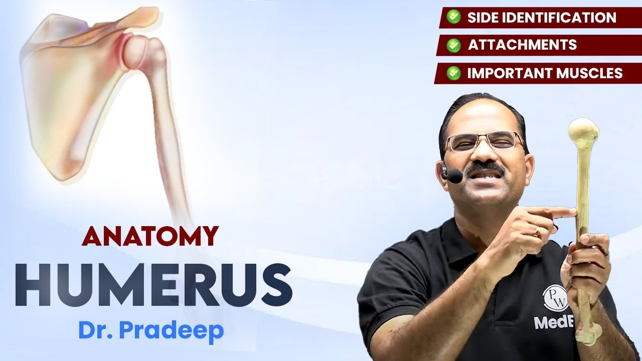Humerus | Anatomy | Hard Parts Made Easy with Dr. Pradeep Pawar