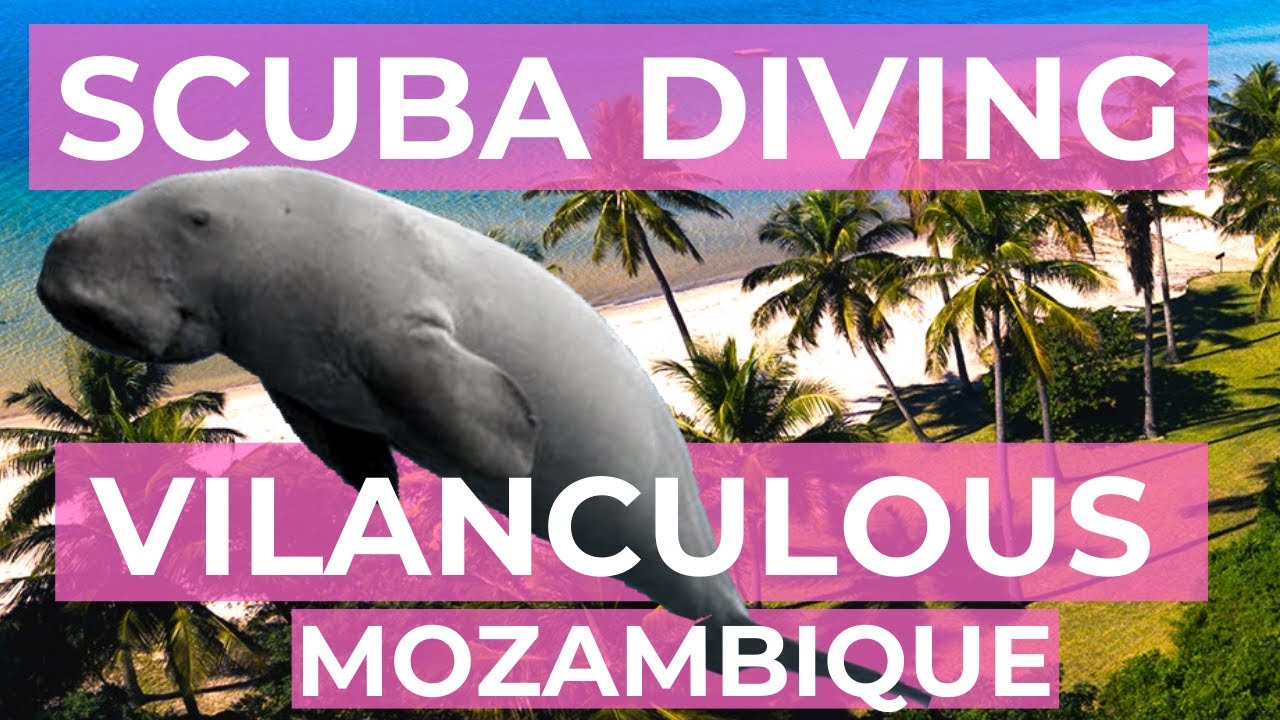 Scuba Diving in Vilanculous, Mozambique