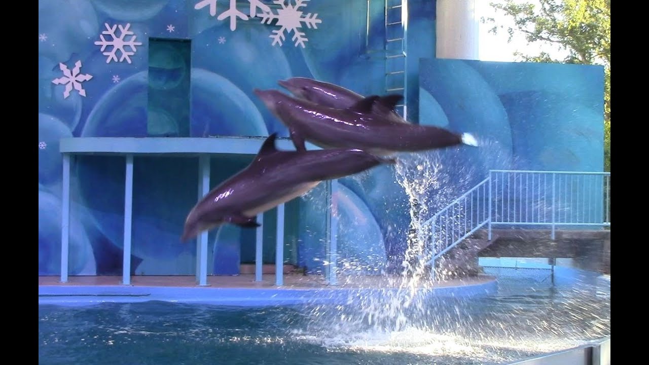 Winter Waterland (Dolphin Holiday Show) at Six Flags Discovery Kingdom 12/30/14