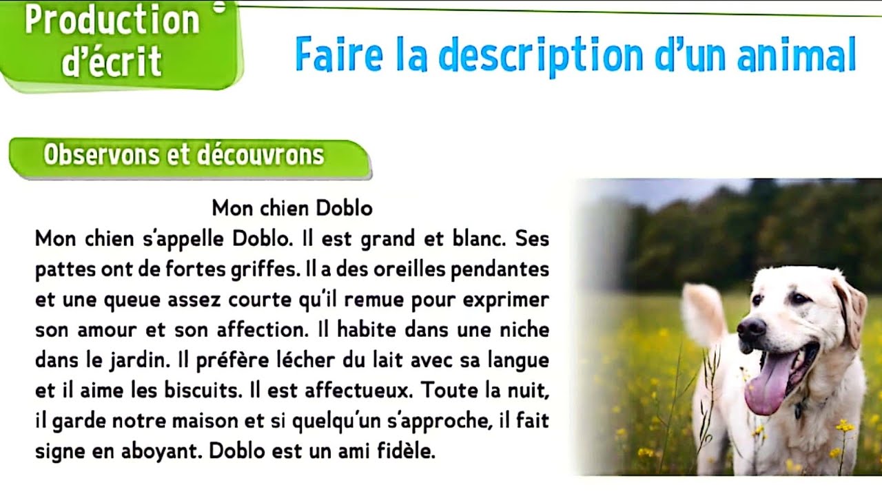 Faire la description d'un animal ( page 126 ) le trésor des mots CM2