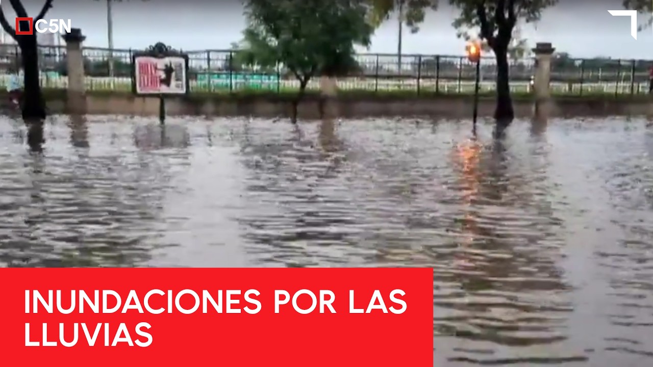 INUNDACIONES en los BOSQUES DE PALERMO