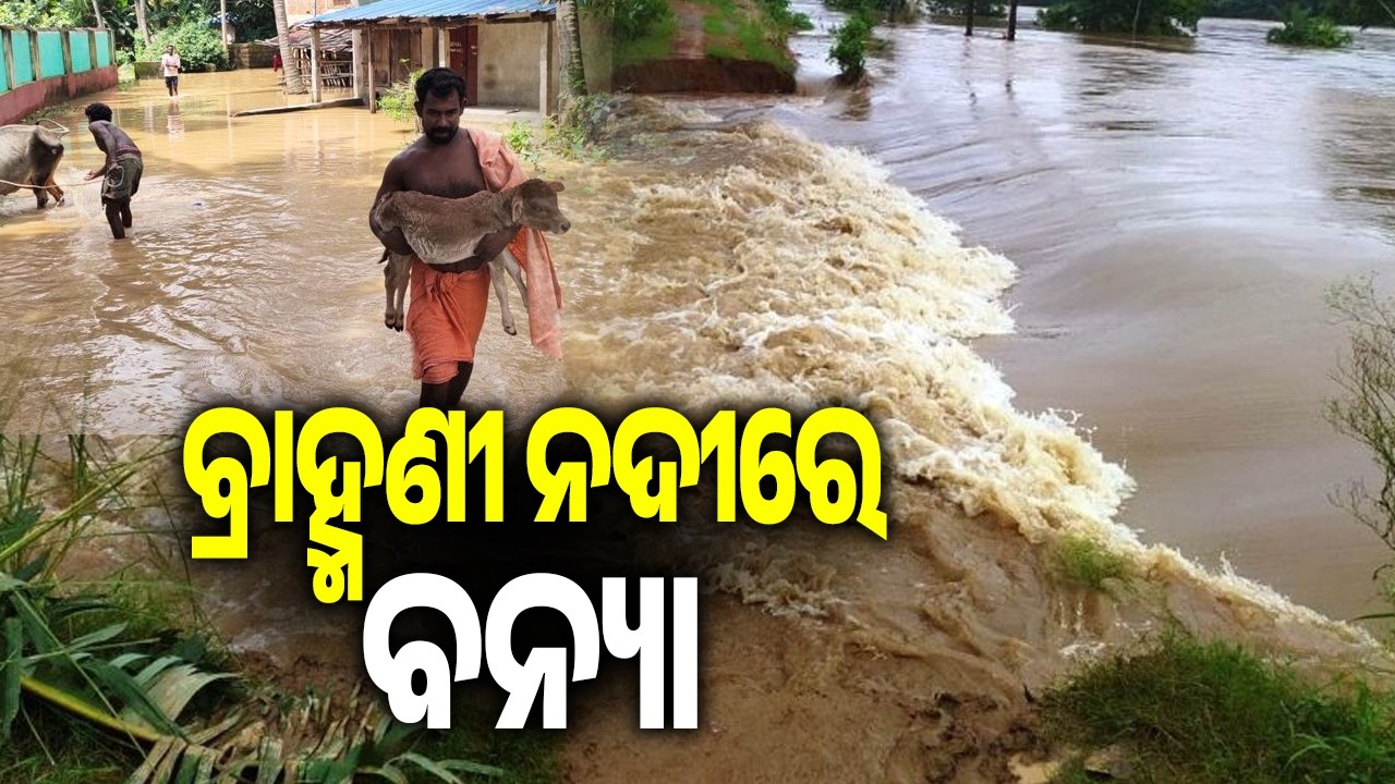 ବ୍ରାହ୍ମଣୀ ନଦୀରେ ବନ୍ୟା | Brahmani River in Spate as Flood Situation Worsens | Kalinga TV