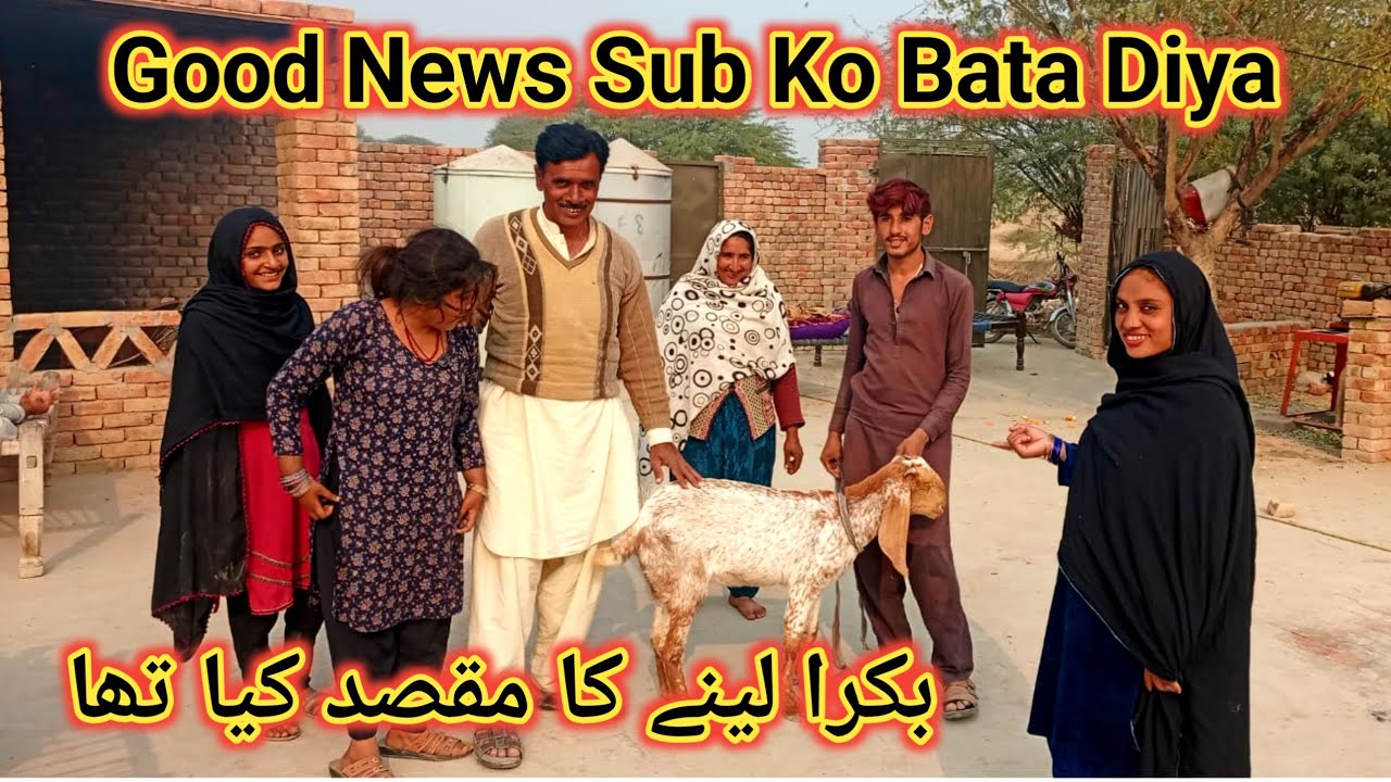 Good News Sub Ko Bata Diya Bakra Leny Ka Maqsad Kya Tha Ye Surprise Kis Ko Diya Hai 😂👌