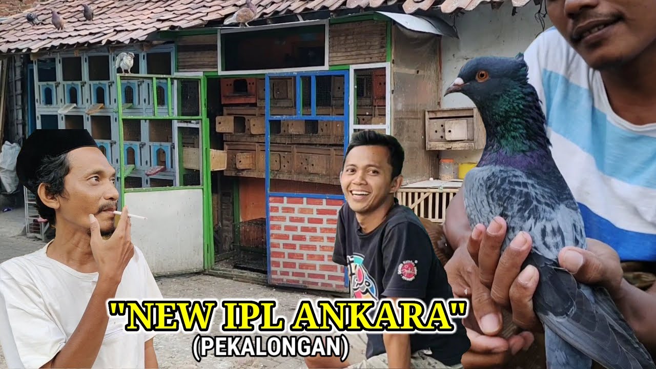 INDUKAN JALUR LAWAS MULAI 