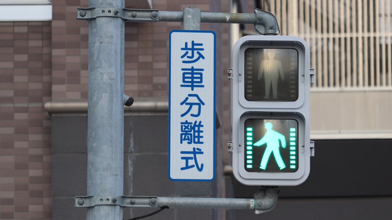 【北海道仕様】コイト薄型歩灯10メモリ経過集約式