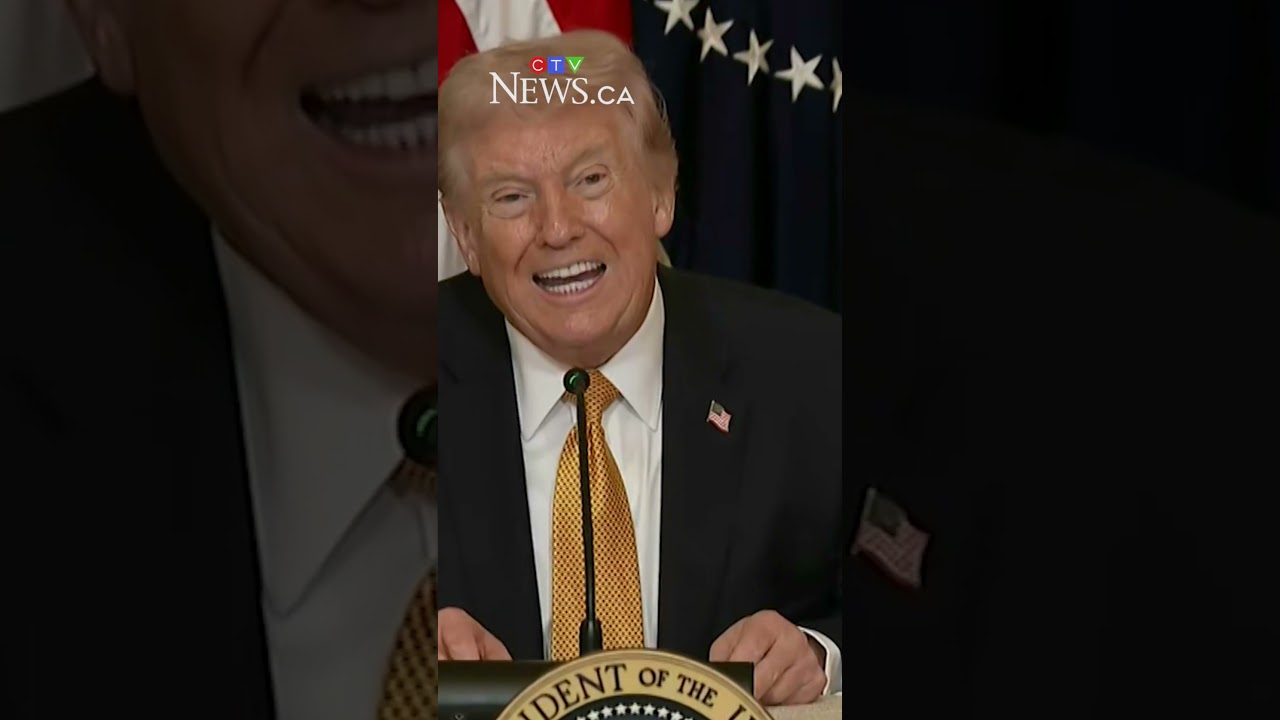 &laquo;Почему мы защищаем страны, которые не защищают нас?&raquo; &mdash; Трамп о союзниках по НАТО.