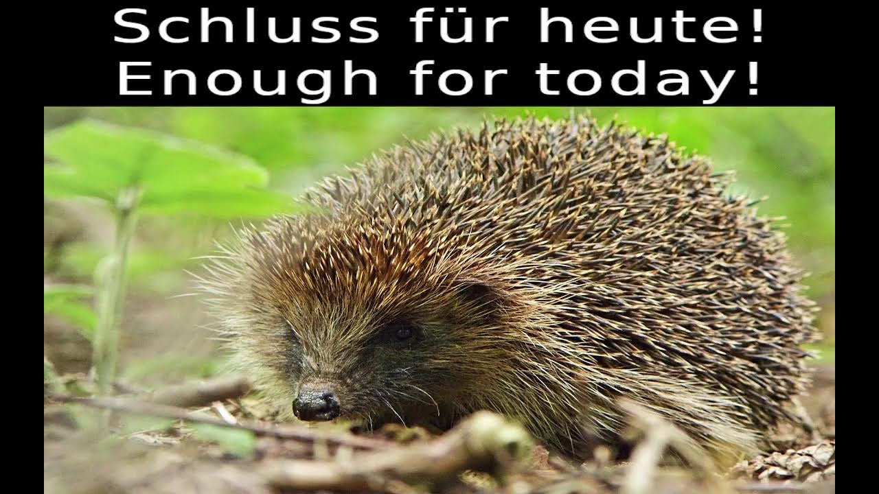 Europa Universalis 5 (Böhmen) [Eng|Ger]