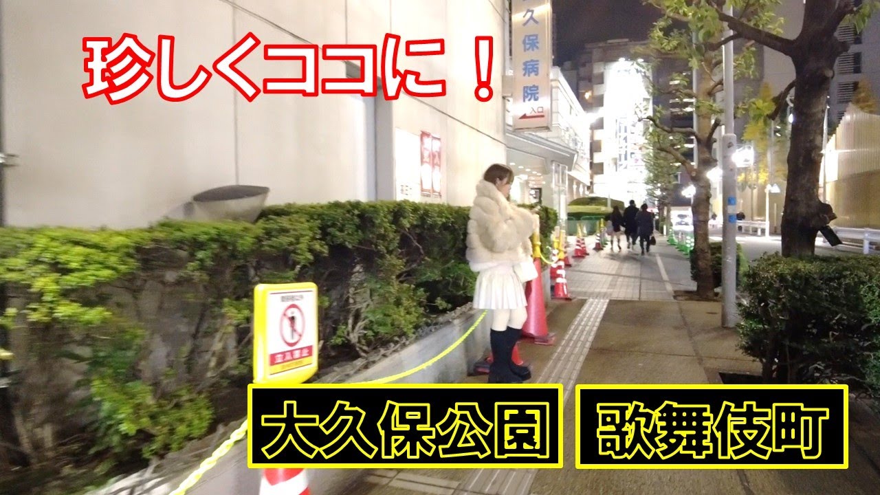【東京都新宿区】もはや公園前病院前は珍しい？歌舞伎町ホテル街、大久保公園を歩いてみた　Night Walk in Tokyo Shinjuku Kabukicho Okubo Park