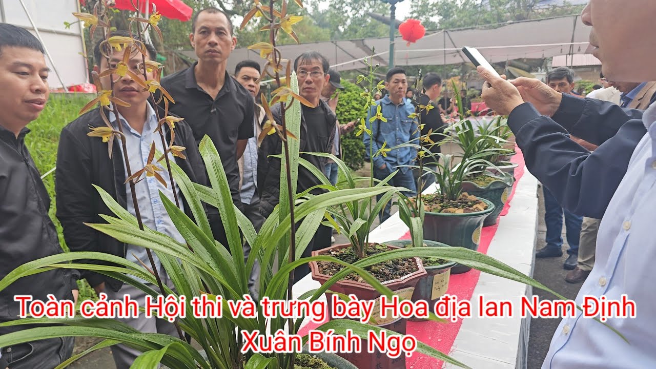 24.2.2026 Toàn cảnh Hội thi và trưng bày Hoa địa lan xuân nam định 