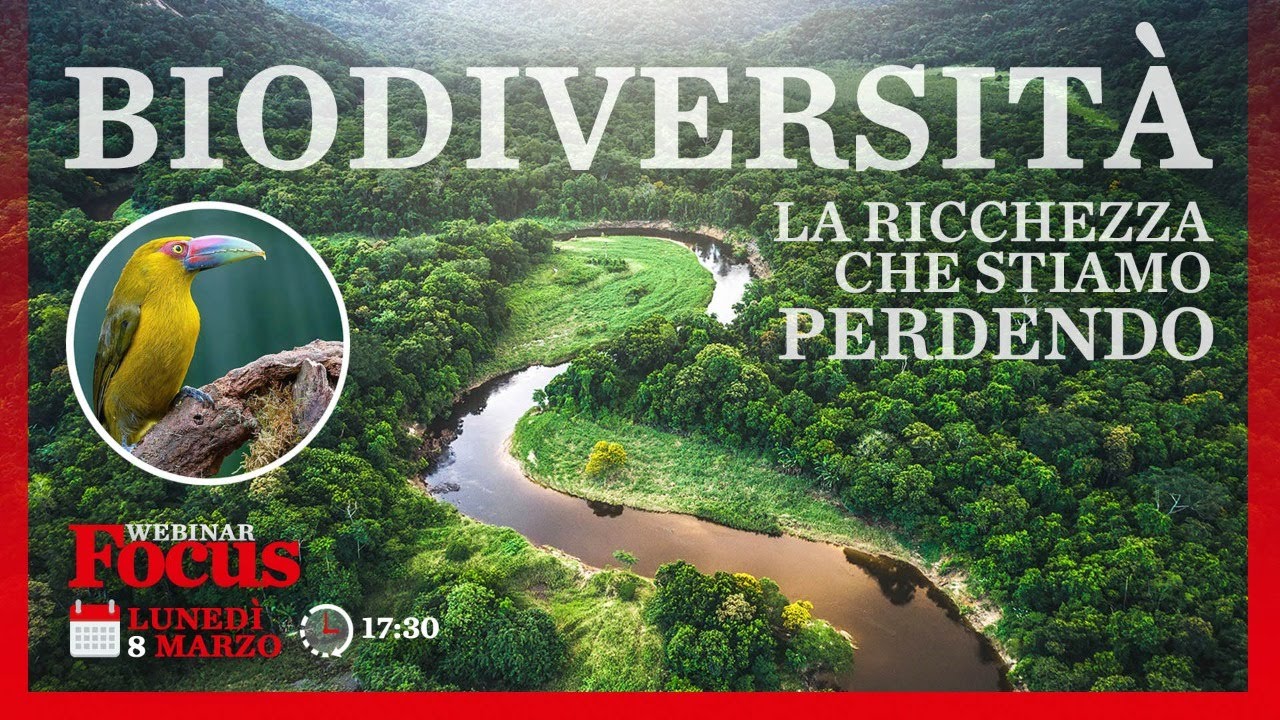 Webinar - Biodiversità, la ricchezza che stiamo perdendo