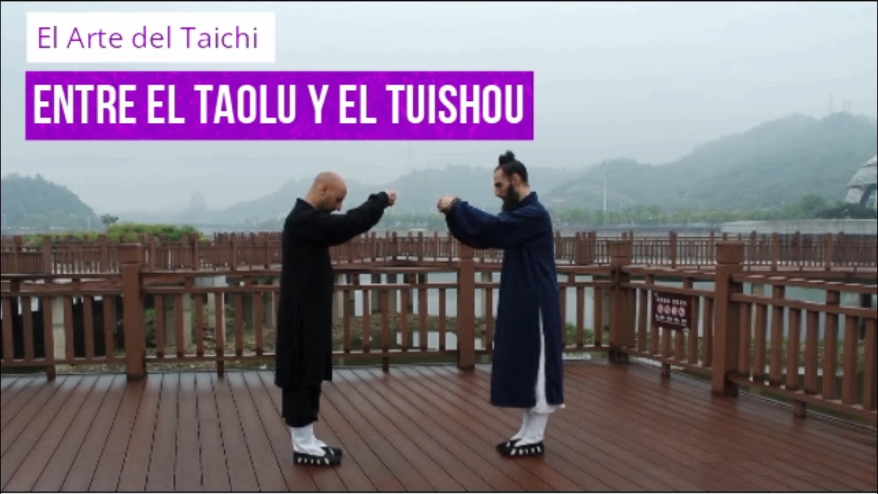 El Arte del Taichi: Entre el Taolu y el Tuishou