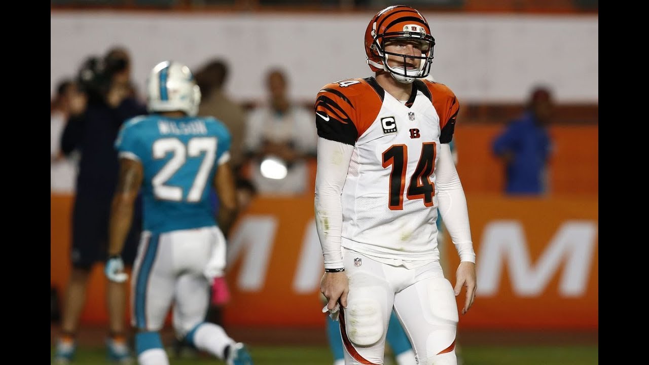 2013 Bengals @ Dolphins