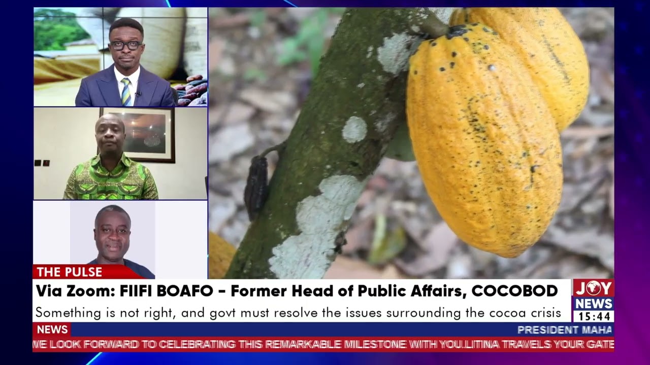 Cocoa payment crisis: It is unfair to have any NPP party executive involved in the demonstration.