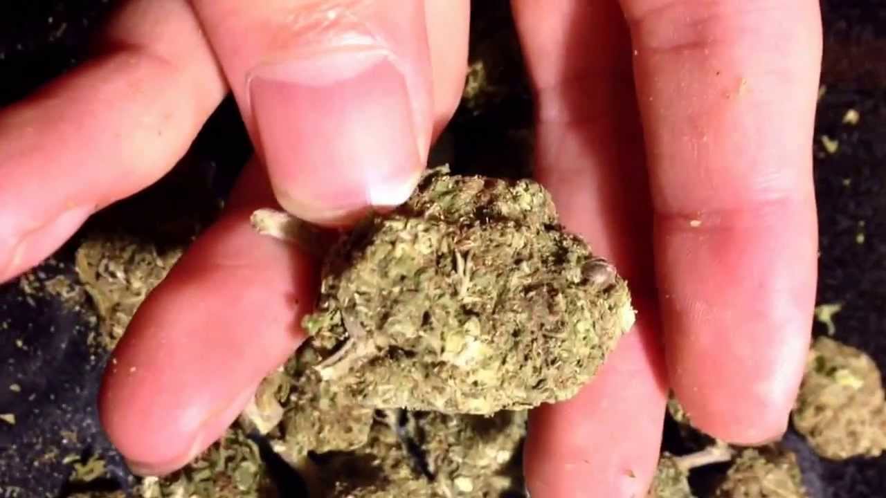 Some Mids Weed Green