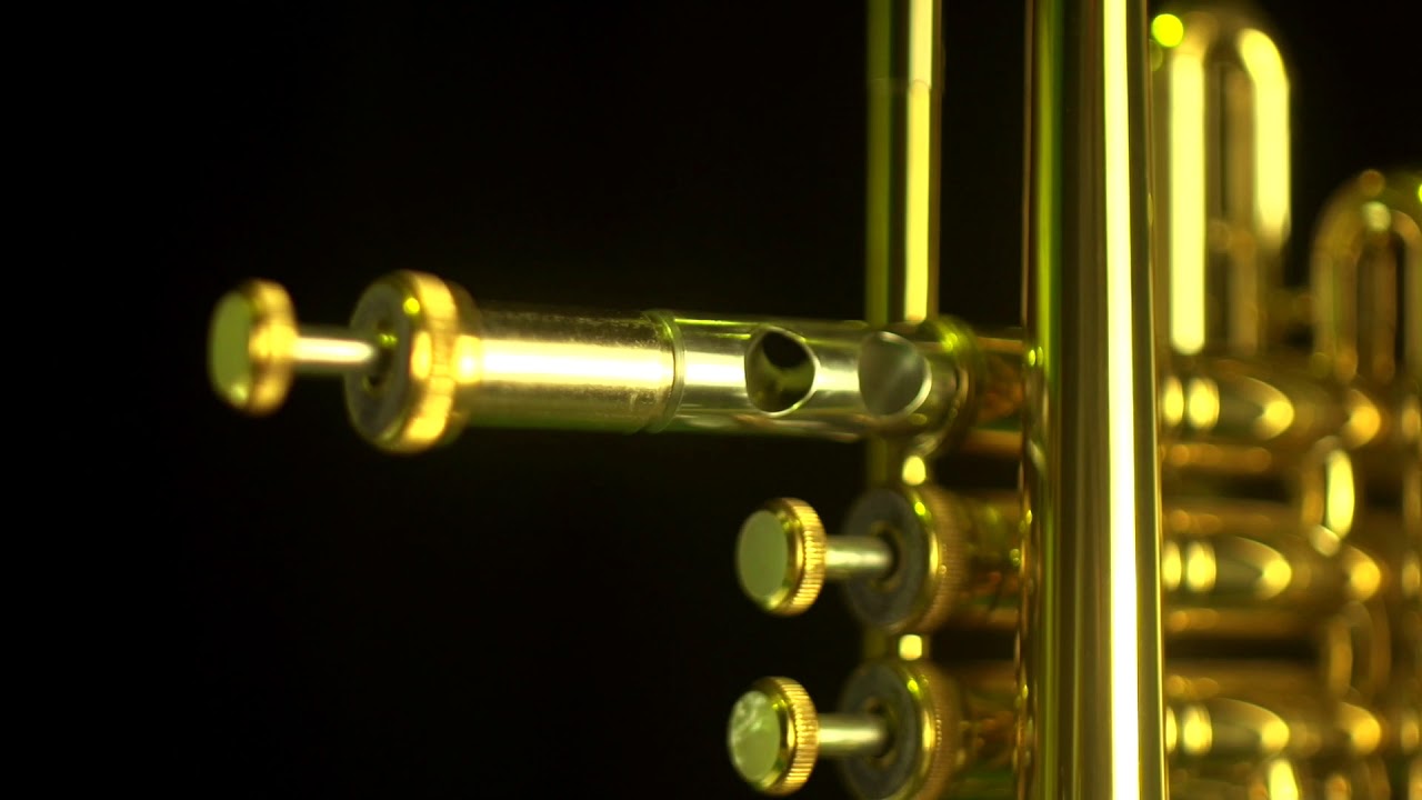Musica Steyr Cornet