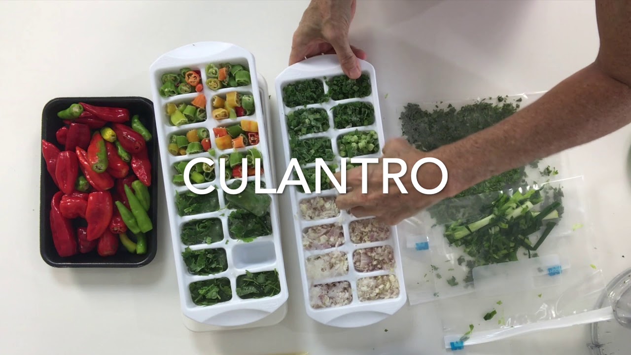 How to Freeze Herbs Shallots Cilantro Scallions & avoid food waste seasoning ICE CUBES Chef Pachi