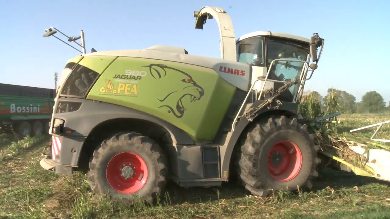 Claas Jaguar 980 e 980 Gruppo Pea trinciatura mais 2025