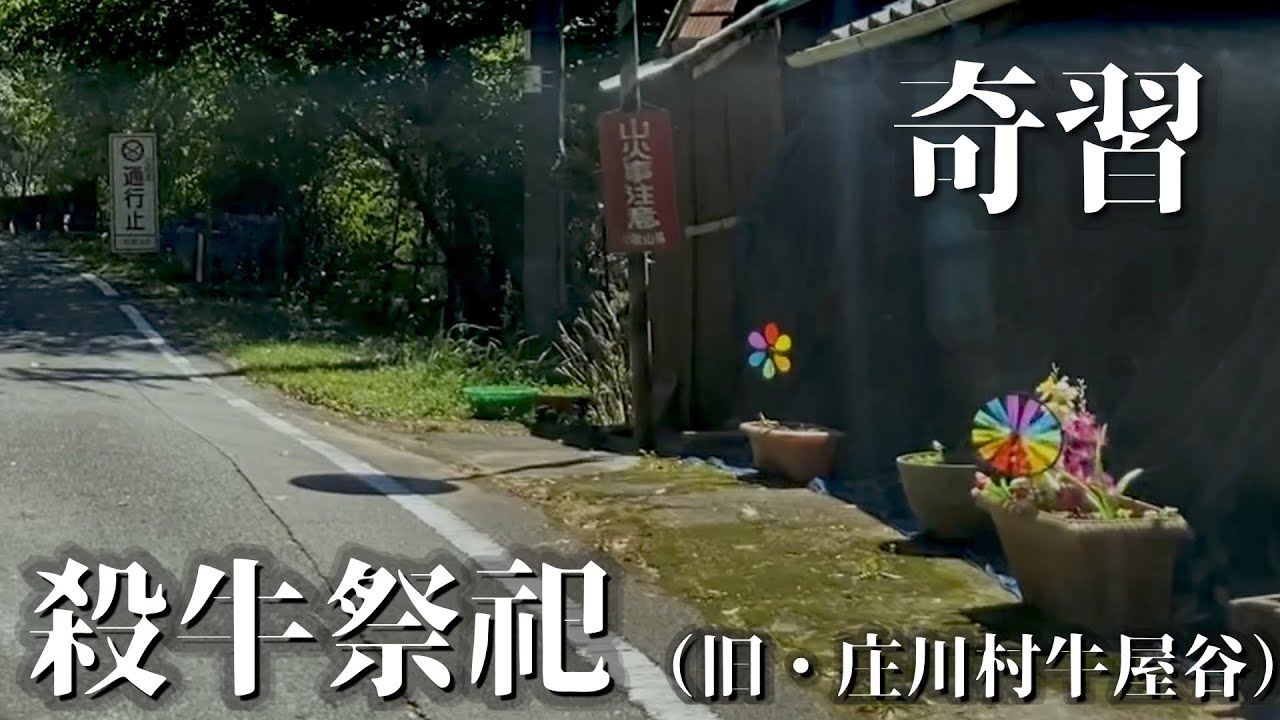 【奇習と釣り探検】旧・庄川村　牛屋谷を釣り調査。【後編】和歌山県西牟婁郡白浜町庄川地区の殺牛祭祀