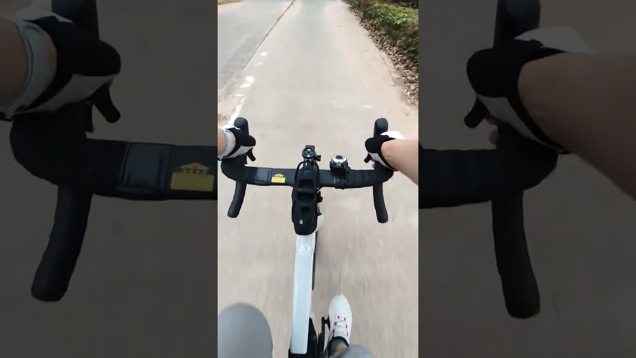 VID 20260212 075009