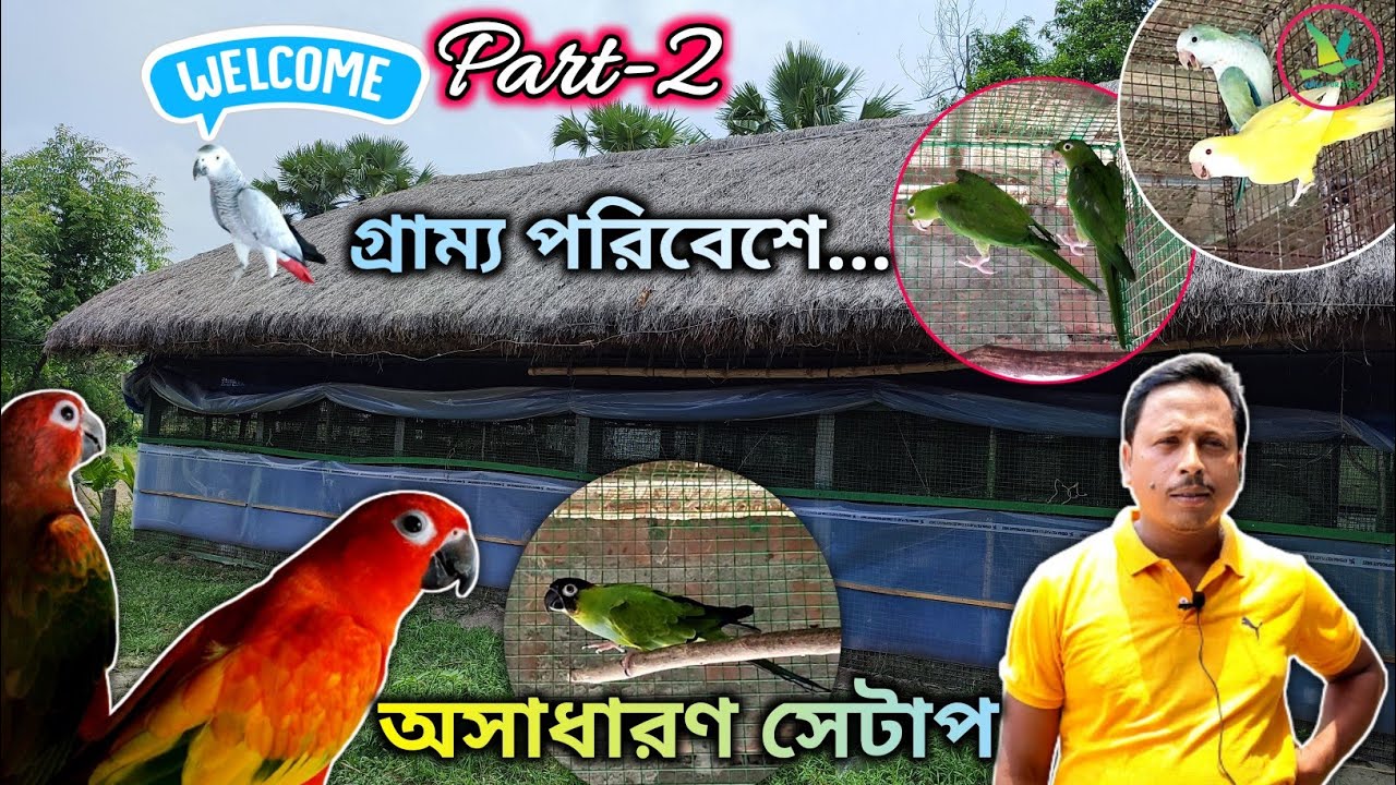 Sun Conure/Sun Cheek/Nanday Conure/White-Eyed Conure/Lutino Monk Parakeet Breeding Farm Visit