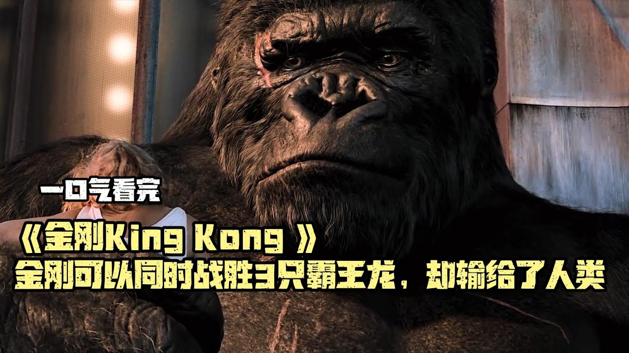 【LY🍃】一口看完一部电影《金刚 King Kong》|重温经典 在遭到海陆空三军大肆追捕的生死关头，它还有心思带女朋友去帝国大厦看日出#影视解说