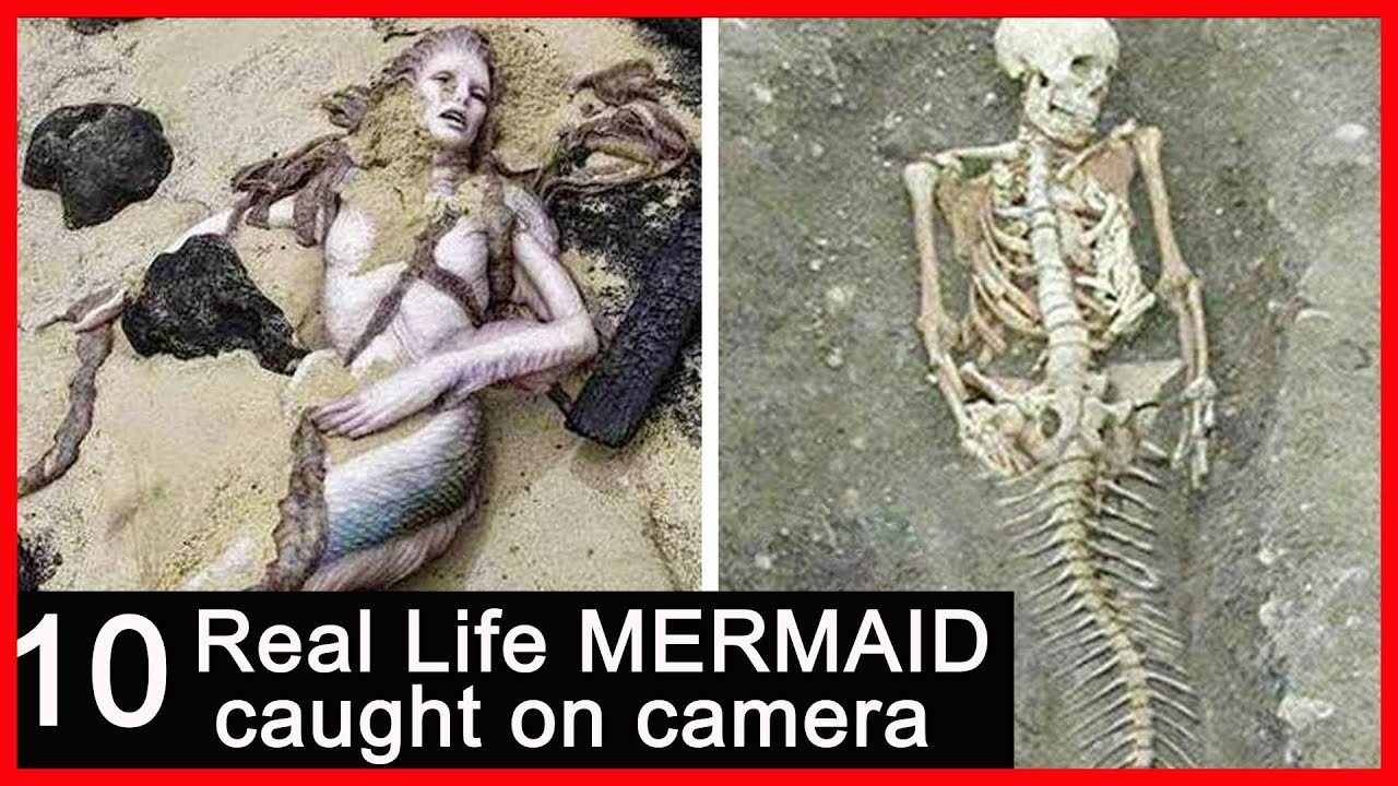TOP 10 EXTRAORDINARY REAL LIFE MERMAID caught on camera 2019