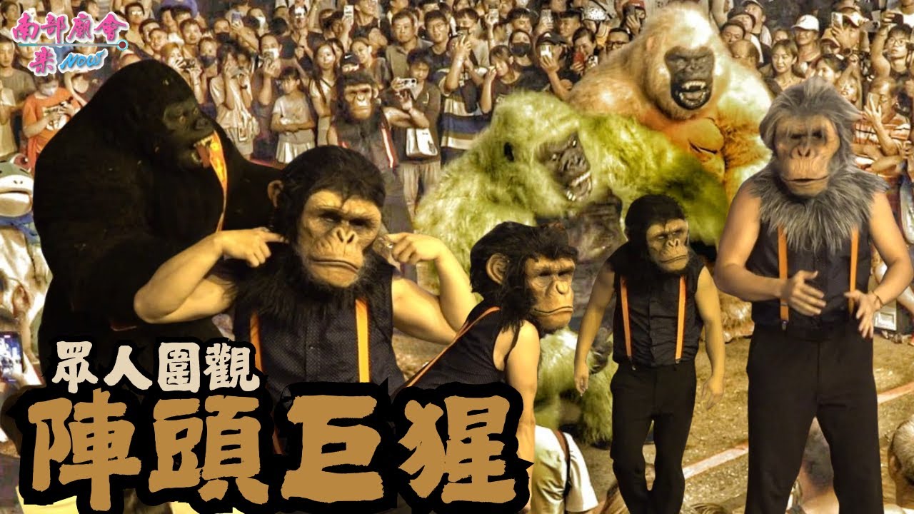 【 #三猩集團 連阿姨也瘋狂 #巨猩剛剛 #陣頭巨猩 】猩猩軍團 猛男秀 #鍾藝劇團 #新竹都城隍廟 2024