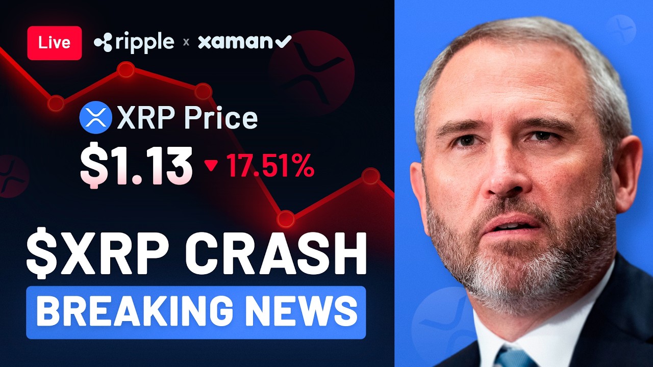 🚨 XRP CRASH ALERT! Brad Garlinghouse's Message! XRP Price Prediction