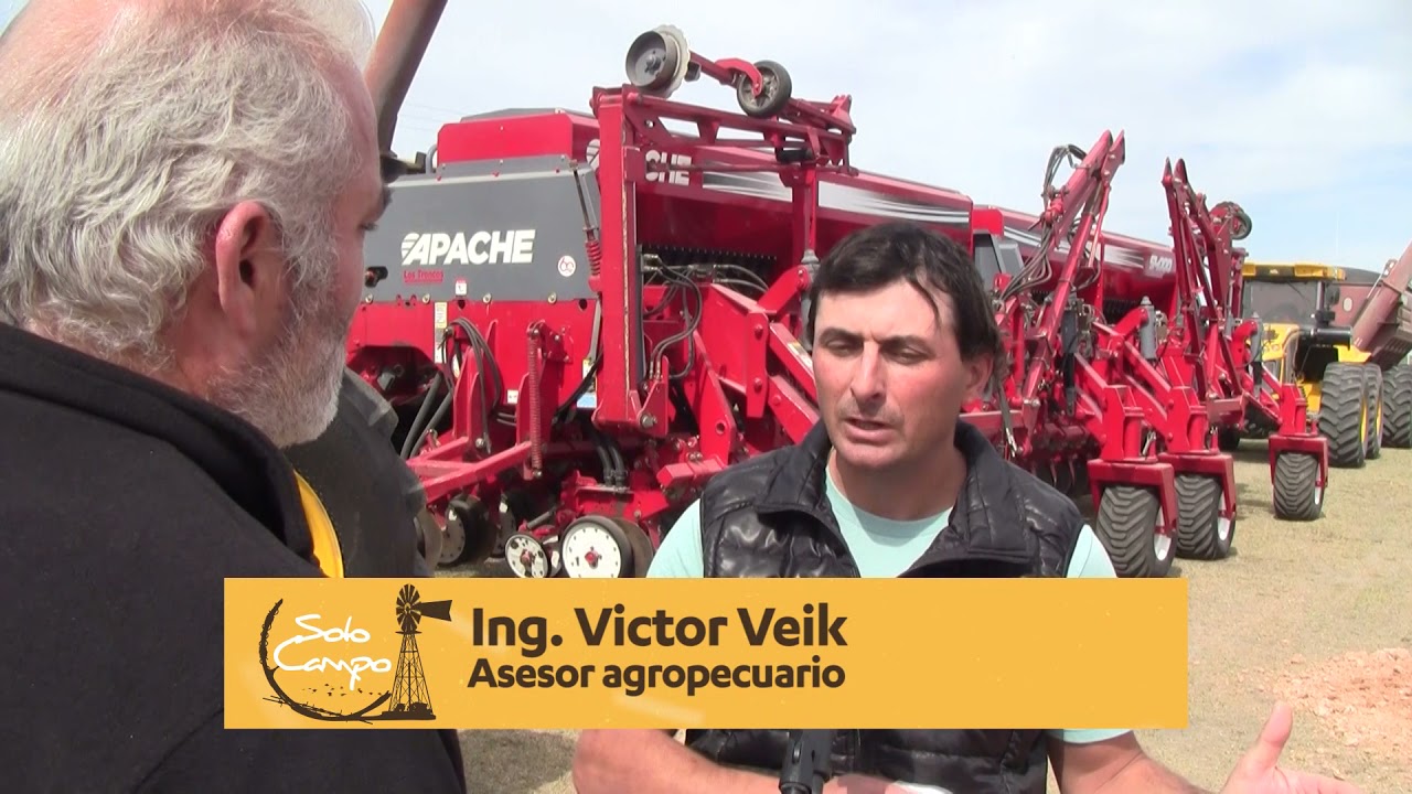 Ing. Victor Veik - Asesor Agropecuario