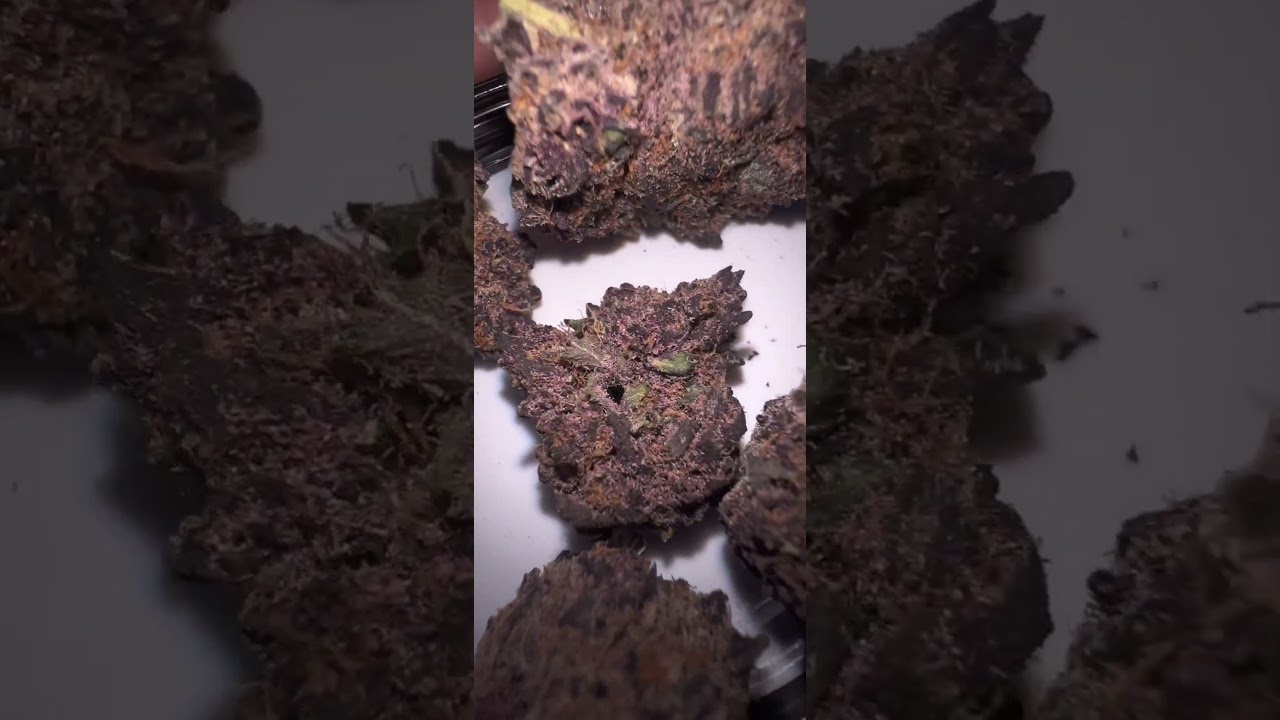PURPLE LABEL ZA #CALI