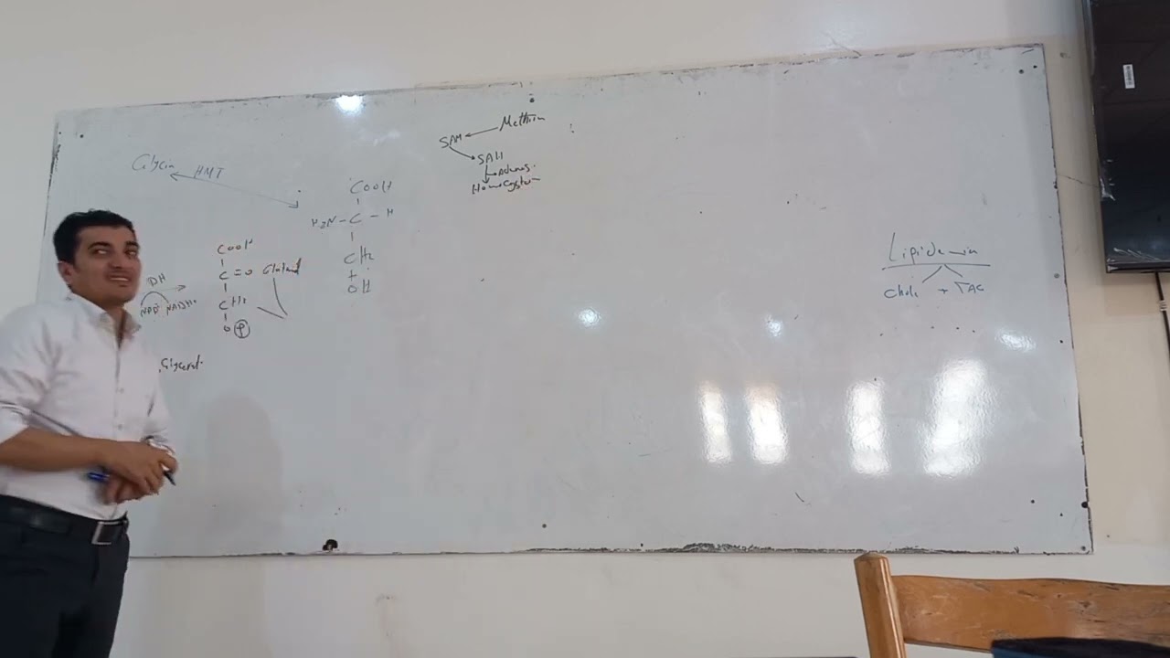 المحاضرة العاشرة كيمياء حيوية2 استقلاب الميثيونين والانين والسيرين د. ابراهيم حساني