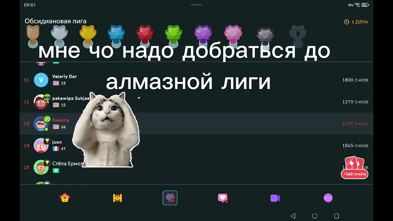 Что если ты заходишь первый раз на дуолинго 