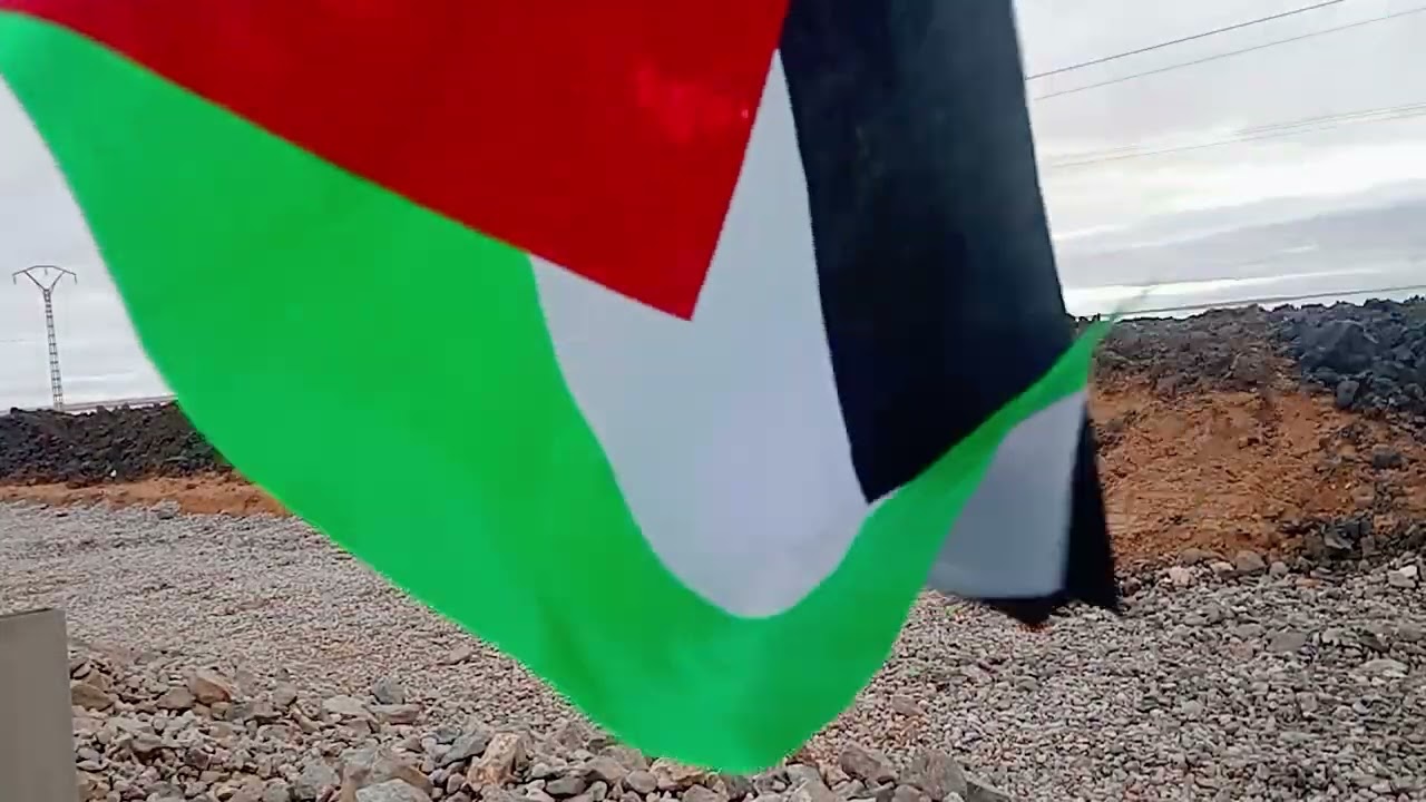 تومي 🇩🇿 زاوي 