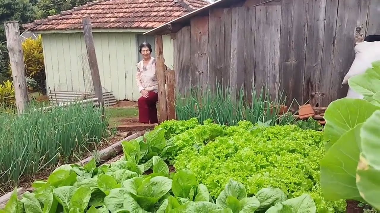 Dona Maria da casa de chão # Sempre animada e cuidando Muito bem do seu sítio…