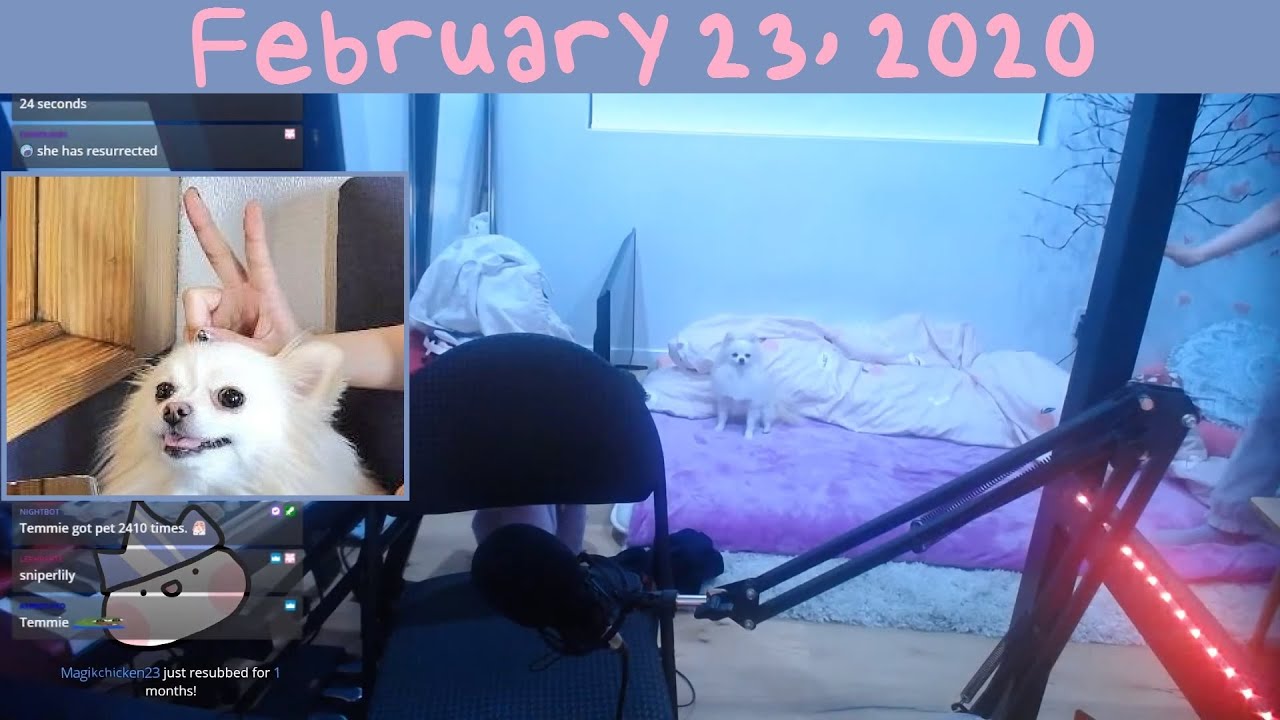 [02/23/2020] Talking | Clash with friends - Day 2 | Temmie