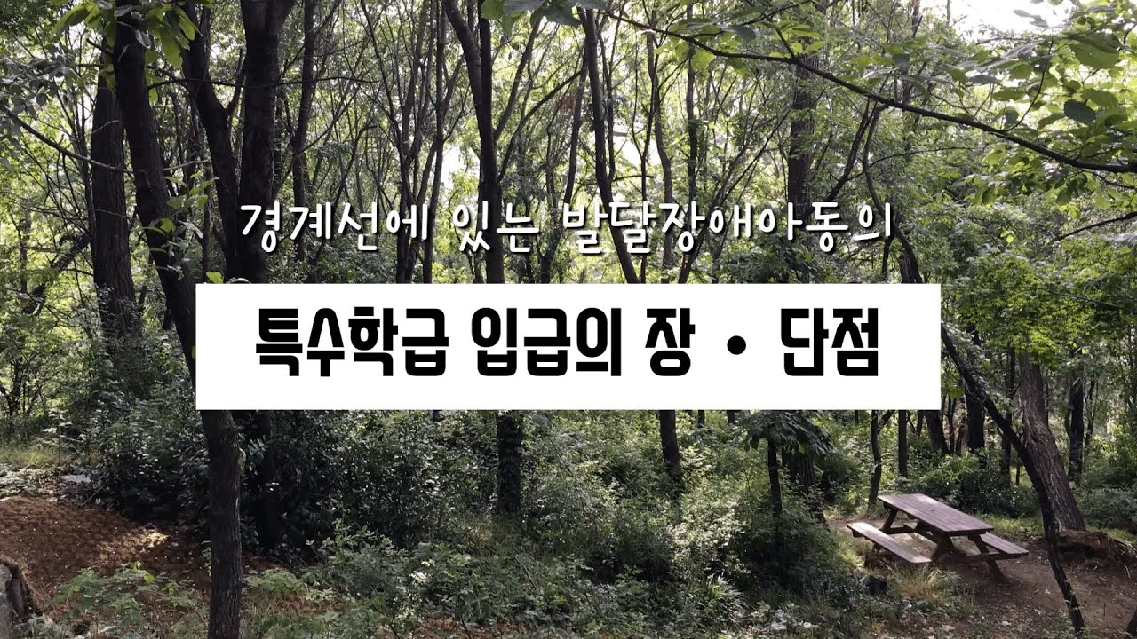 특수교사가 말하는 특수학급 입급의 장단점 | 경계선 발달장애 학생의 경우 | 특수교사 출근길 Volg