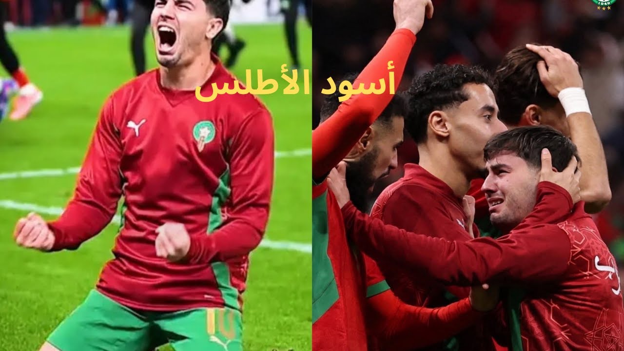 أسود الأطلس