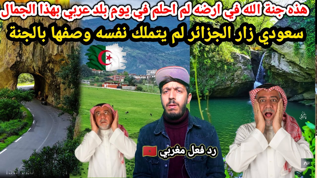 افتخر انت جزائري اسمع ما يقال عن الجزائر ، سعودي زار الجزائر وصفها بالجنة لم أرى في حياتي هذا الجمال