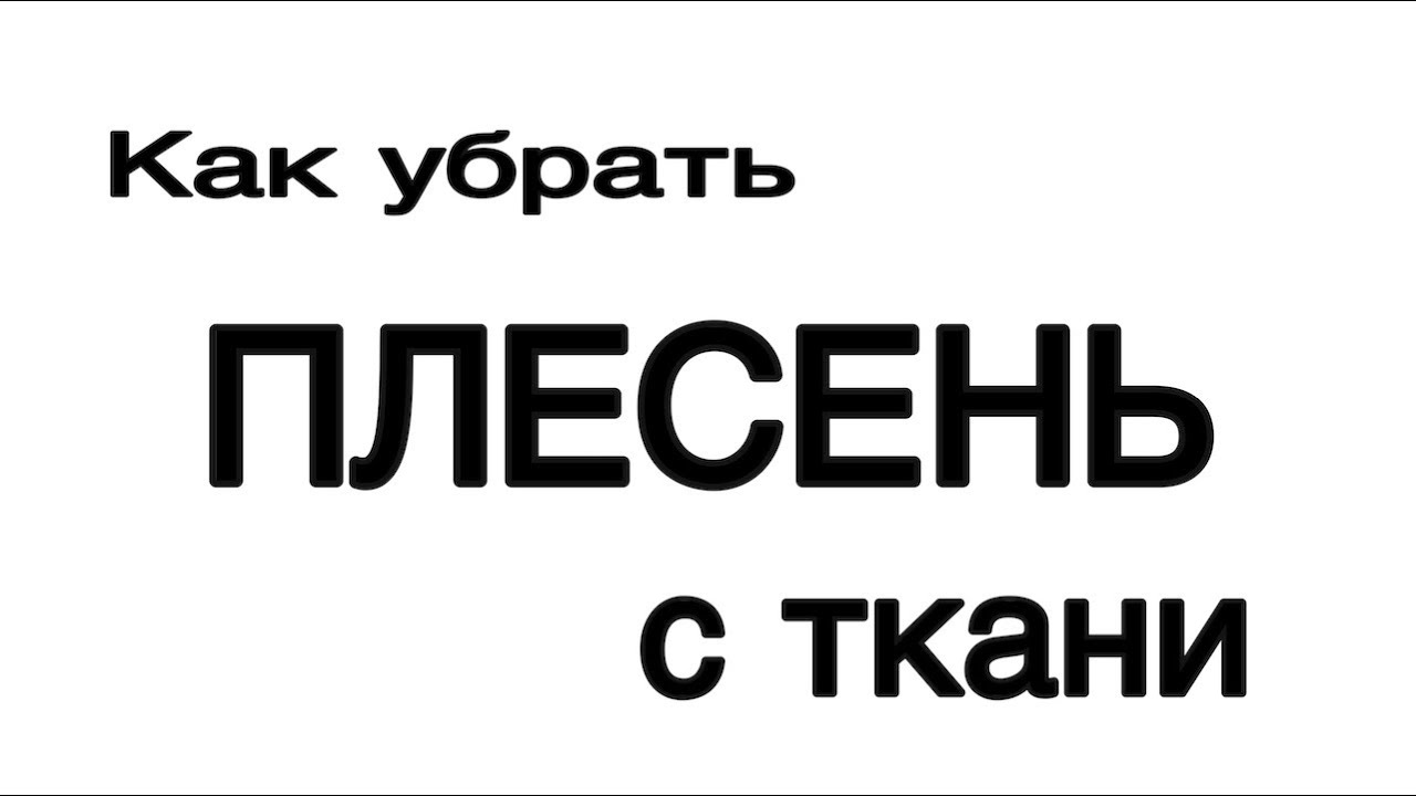 как быстро вывести плесень с одежды