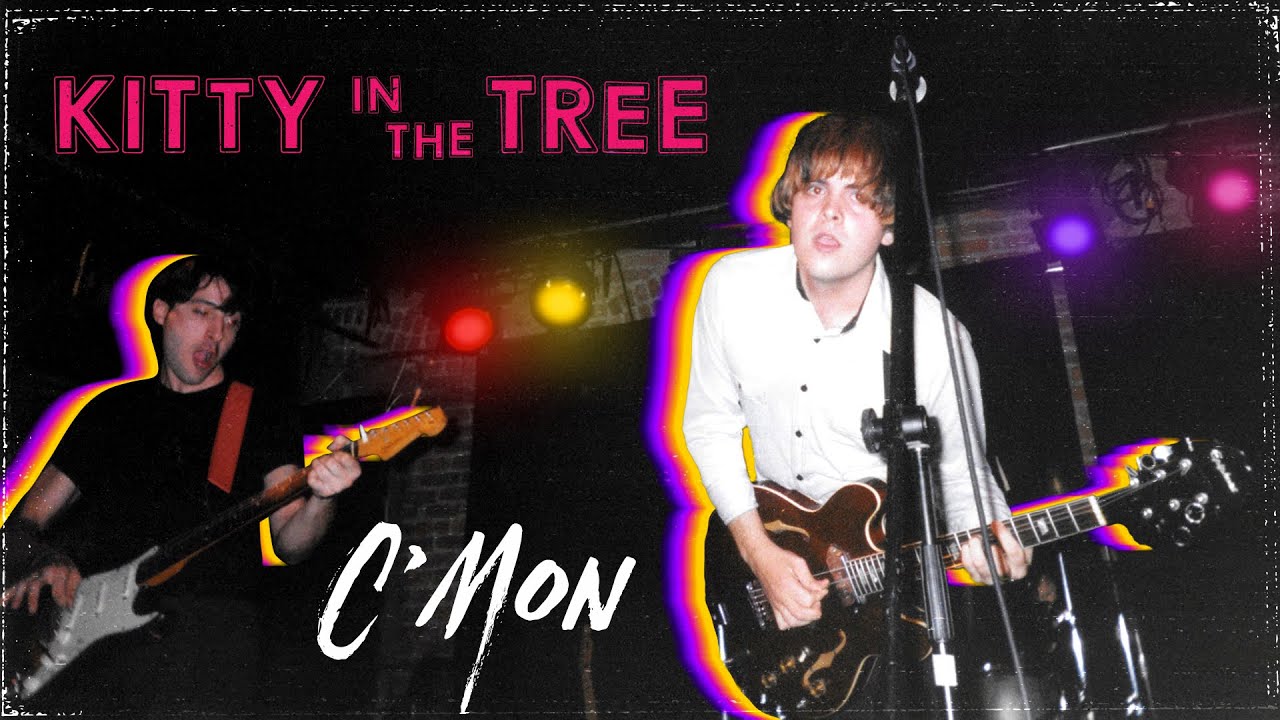 C'mon ✨ Kitty in the Tree