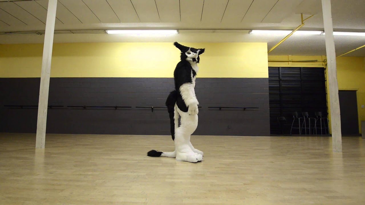 Fursuit Dance Tips: Body Isolations Part 1