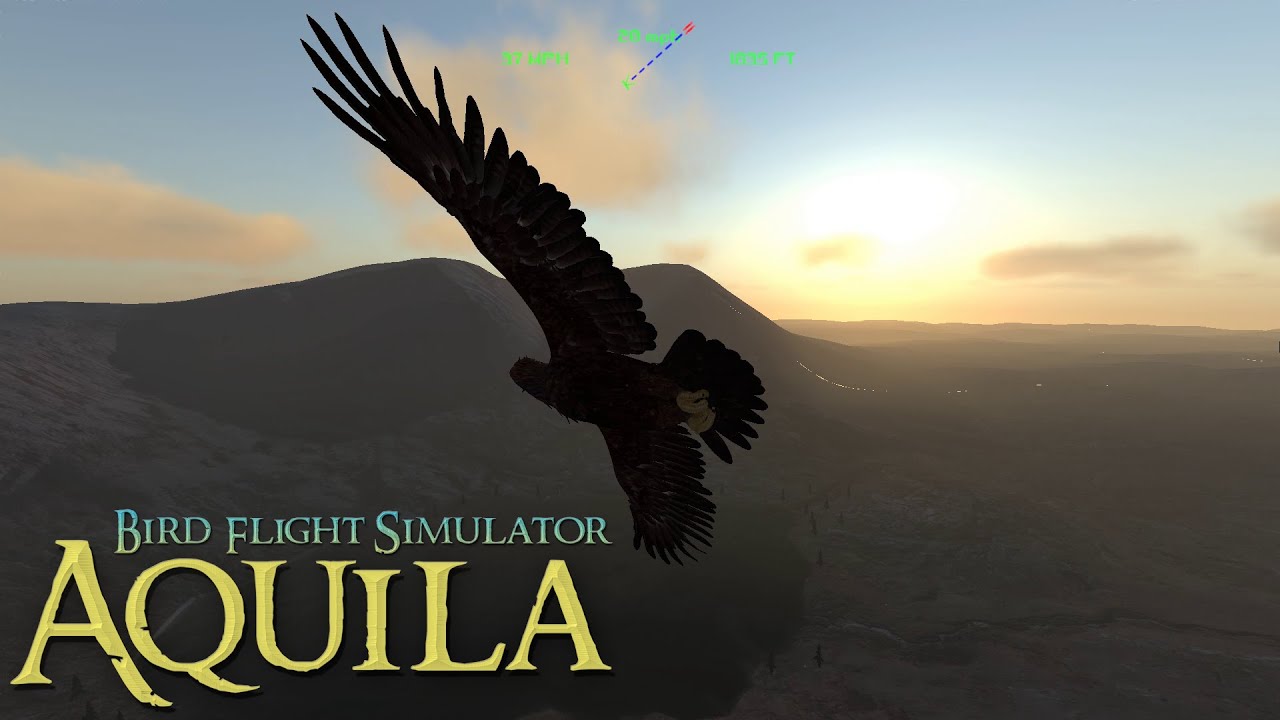 Extended Gameplay Video - July 2020 -Aquila Bird Flight Simulator