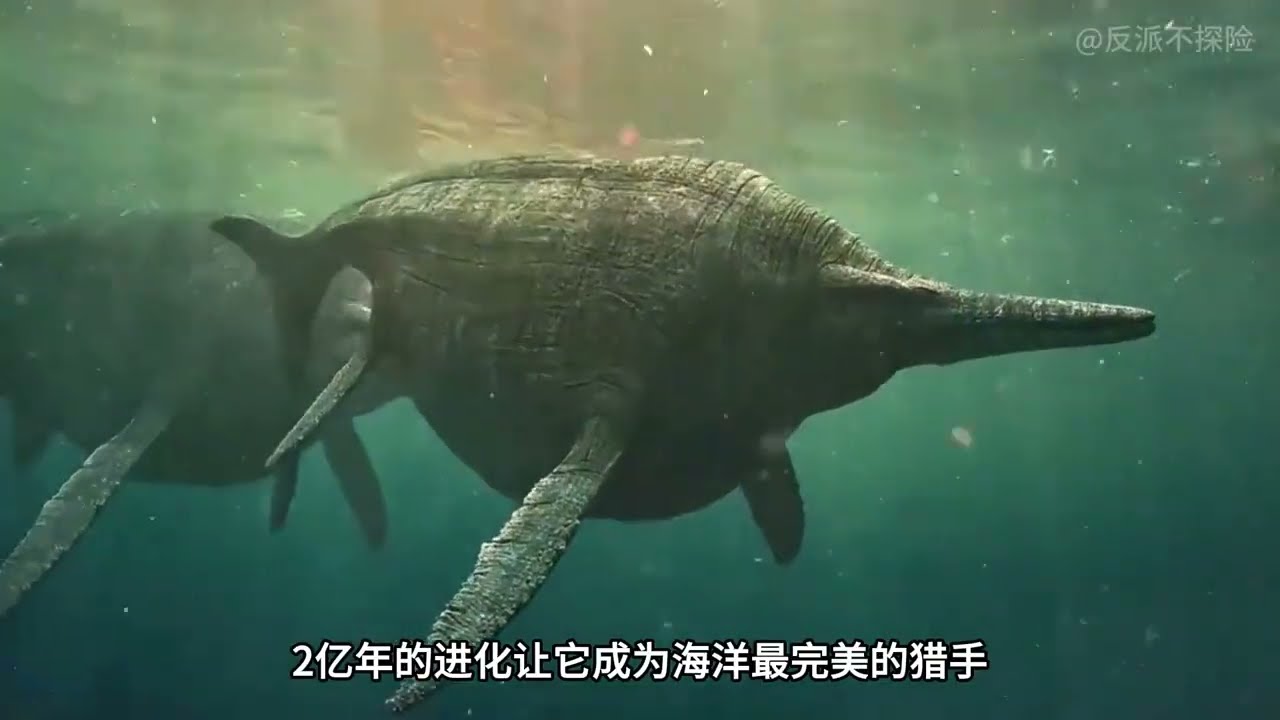 沧龙没出现前它是海洋里的霸主#科普 #科普一下 #science #百科密码 #涨知识 #popular