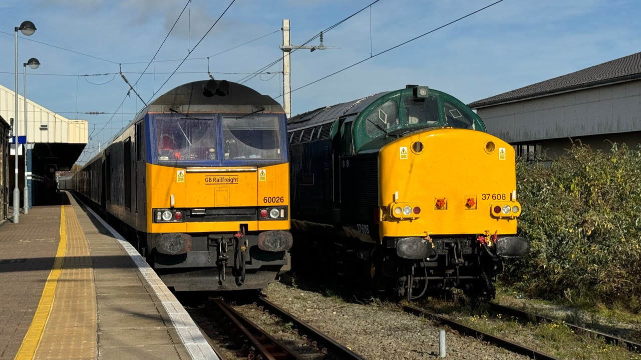 Ex LNWR 350244 heads to Ardwick TMD and Rail Ops Group 37608 hauls 2 barriers to Derby (26/10/24)
