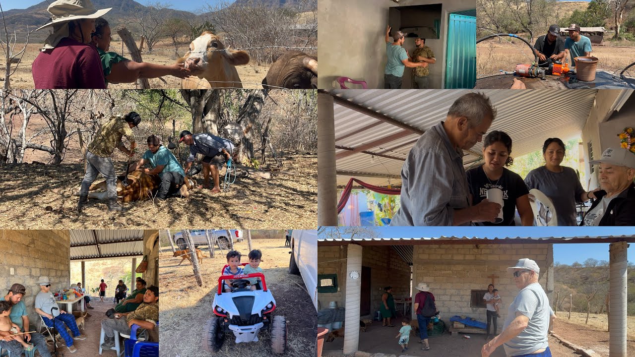Los que Vallan Se Ganan MIL Dólares💸😱+por FIN en su CASA🤗+Herrando l@s Becerros🐂 #tendencia #viral